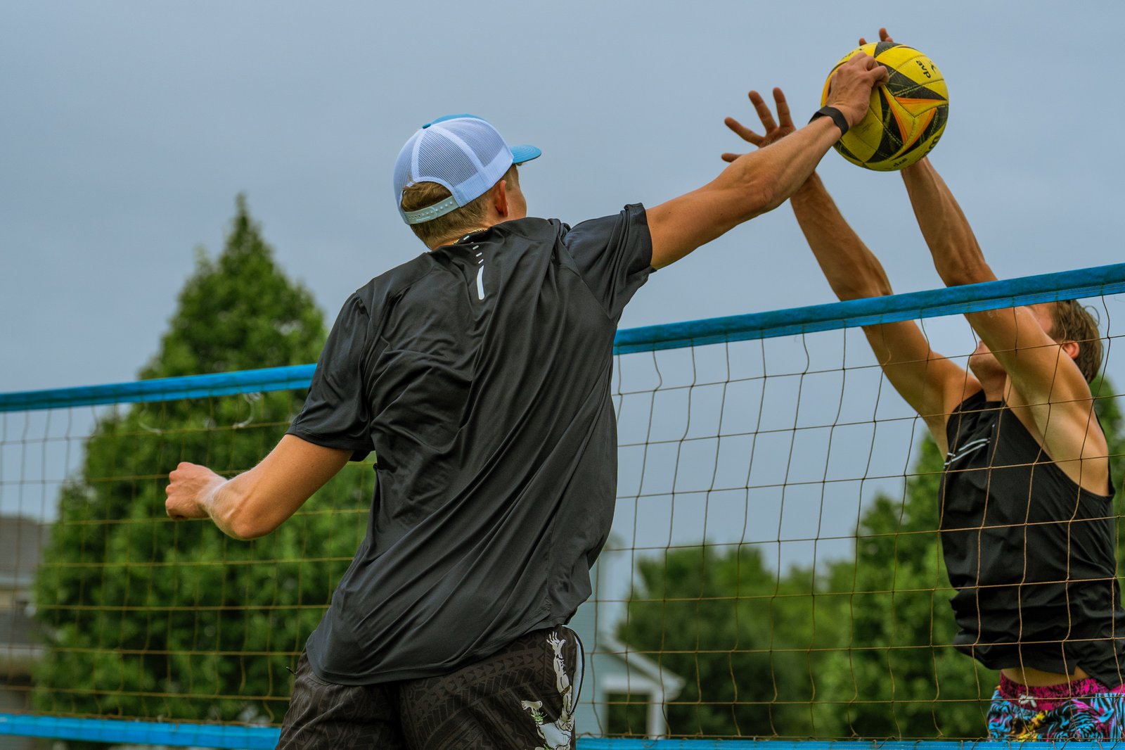 Bell Pepper Open – Official Gallery