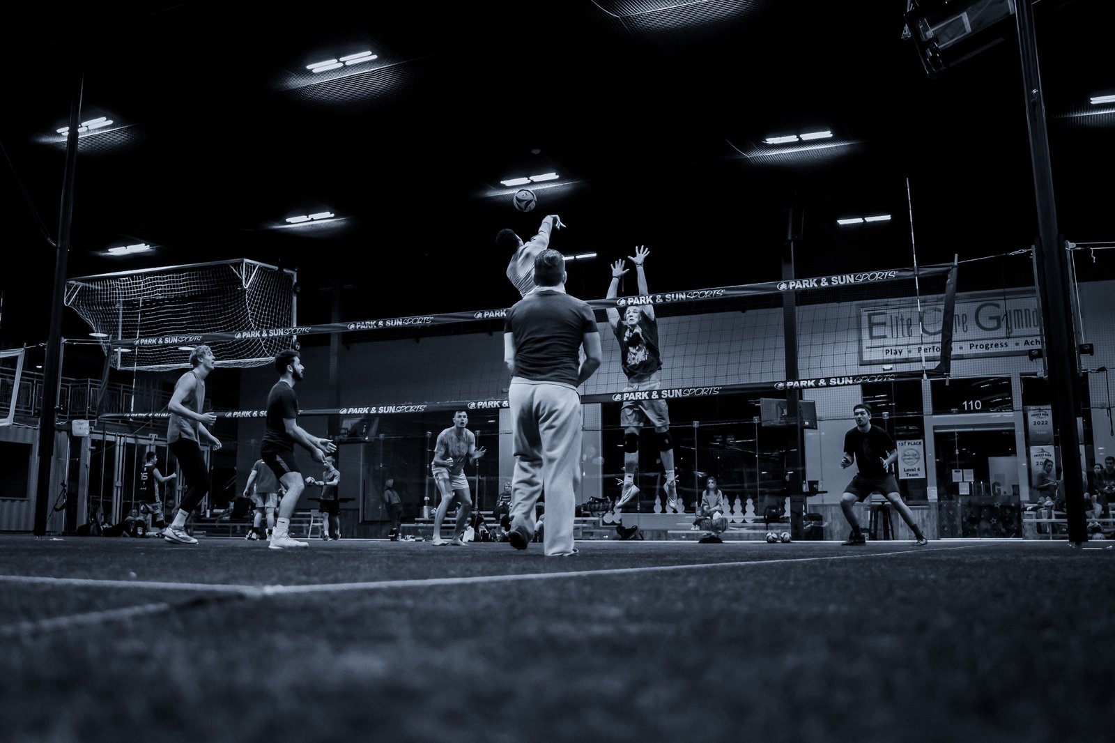 Players Sports Winter Turf Luau