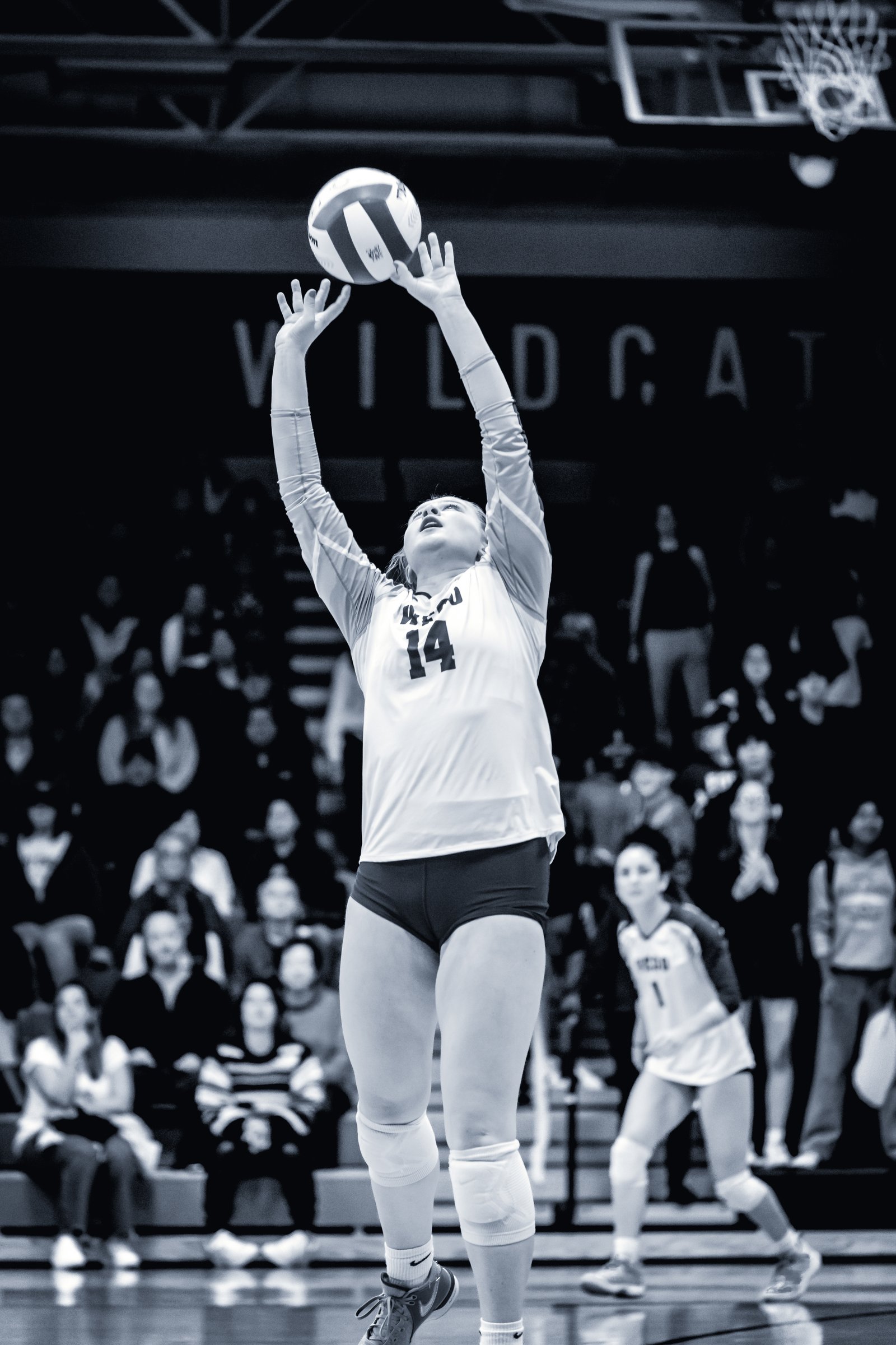 West Chicago Volleyball 17-Oct - Oct 18