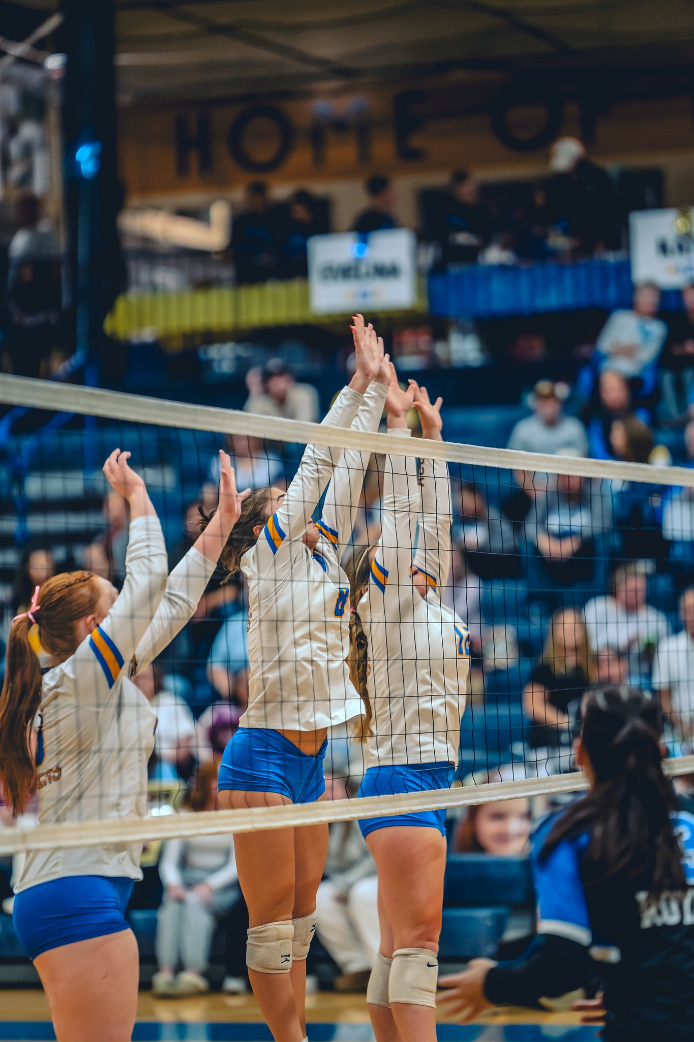 ACC VB Senior Night - Jan 1