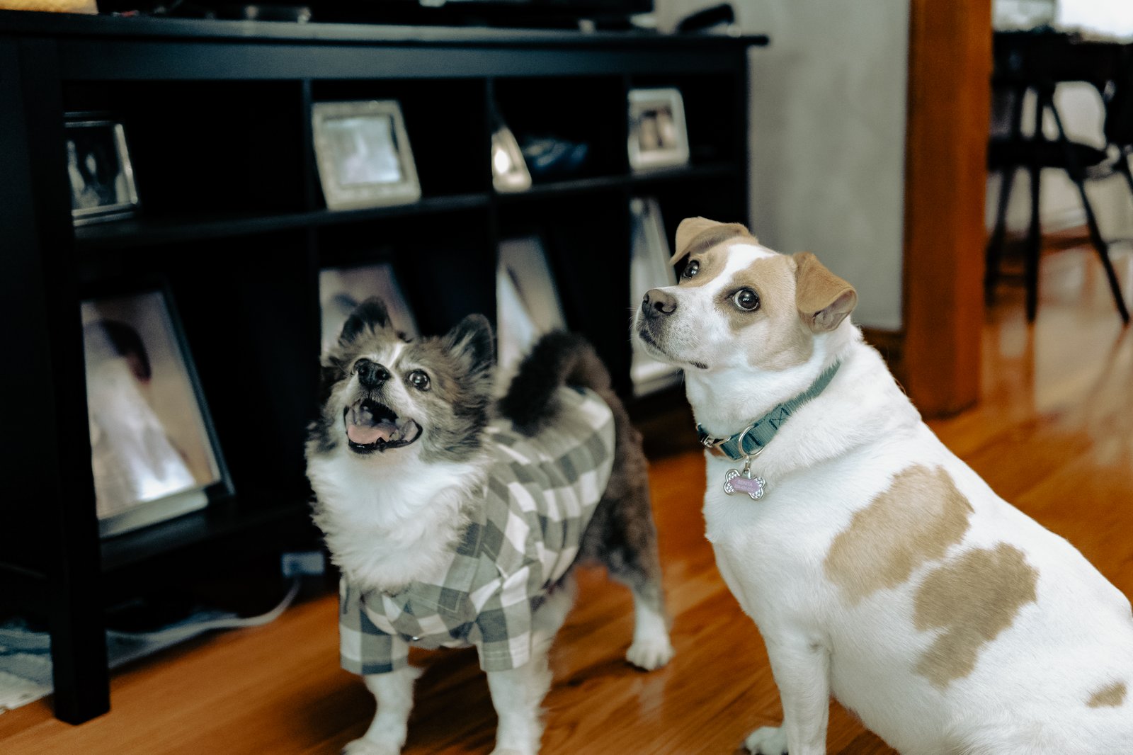 Bruno & Beni - Sep 9