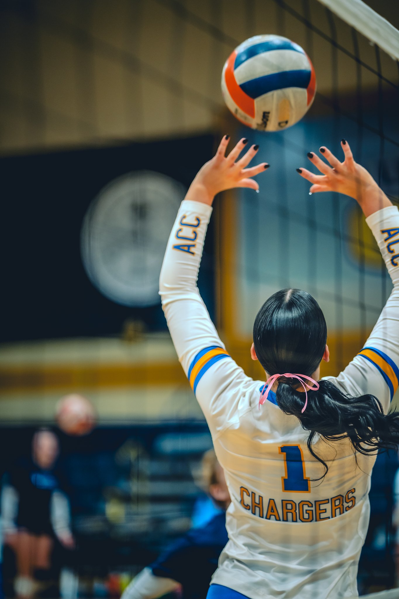 ACC VB Senior Night - Jan 1