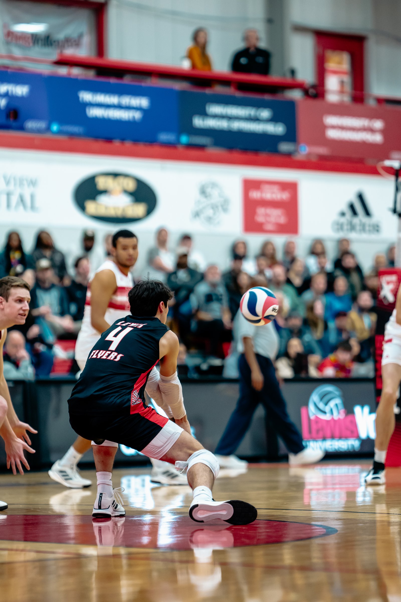 2024 Men's VB - Lewis vs Lindenwood