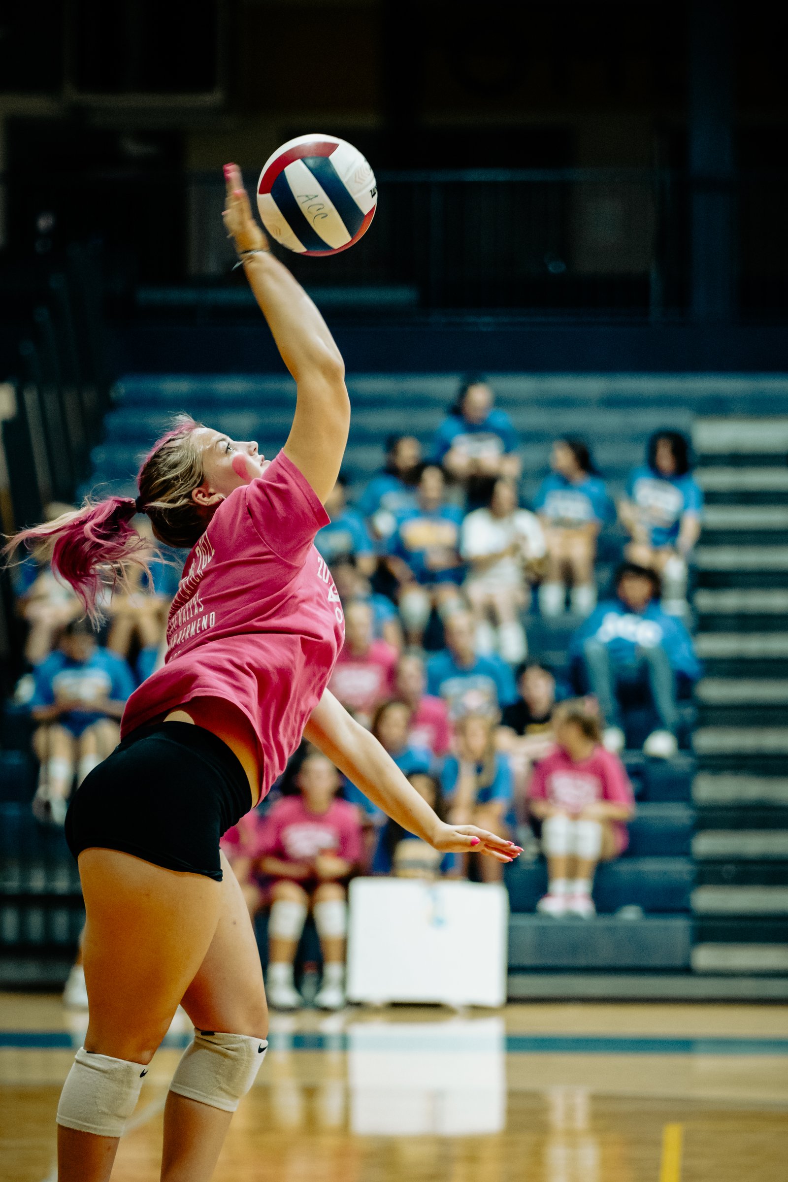 ACC Fall Sports Recognition 2023