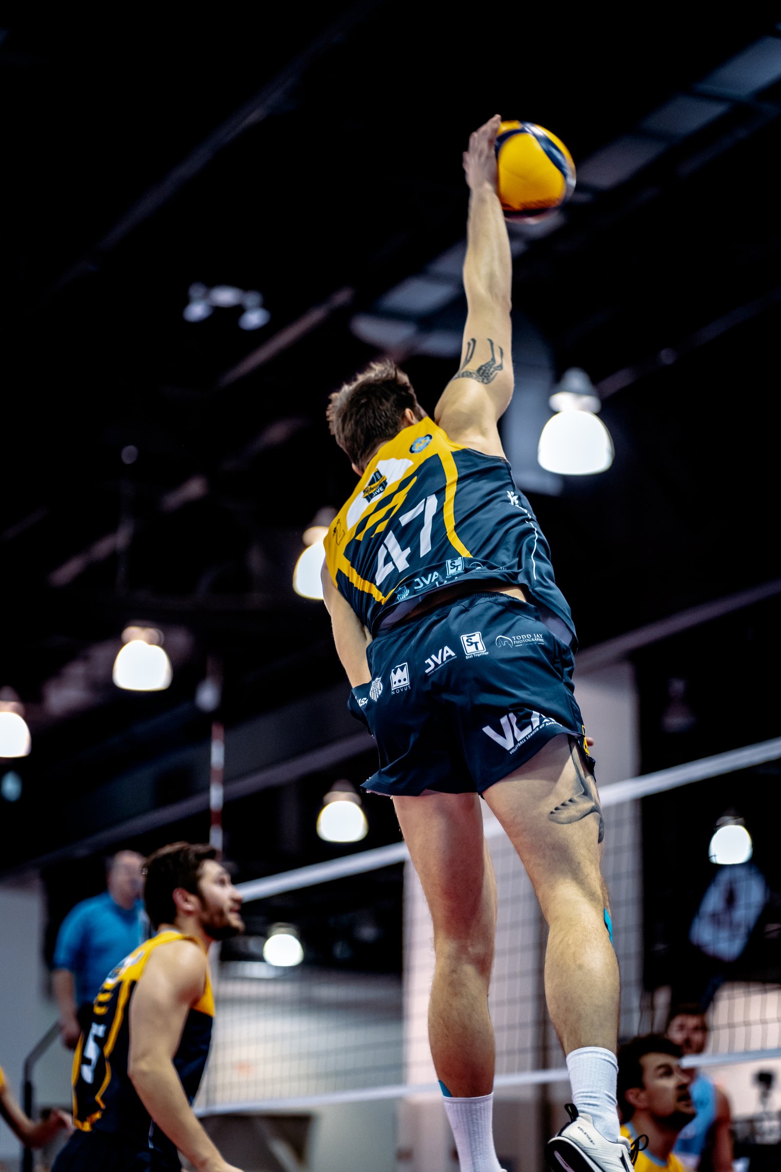 VLA Chicago Icemen vs Milwaukee Dive