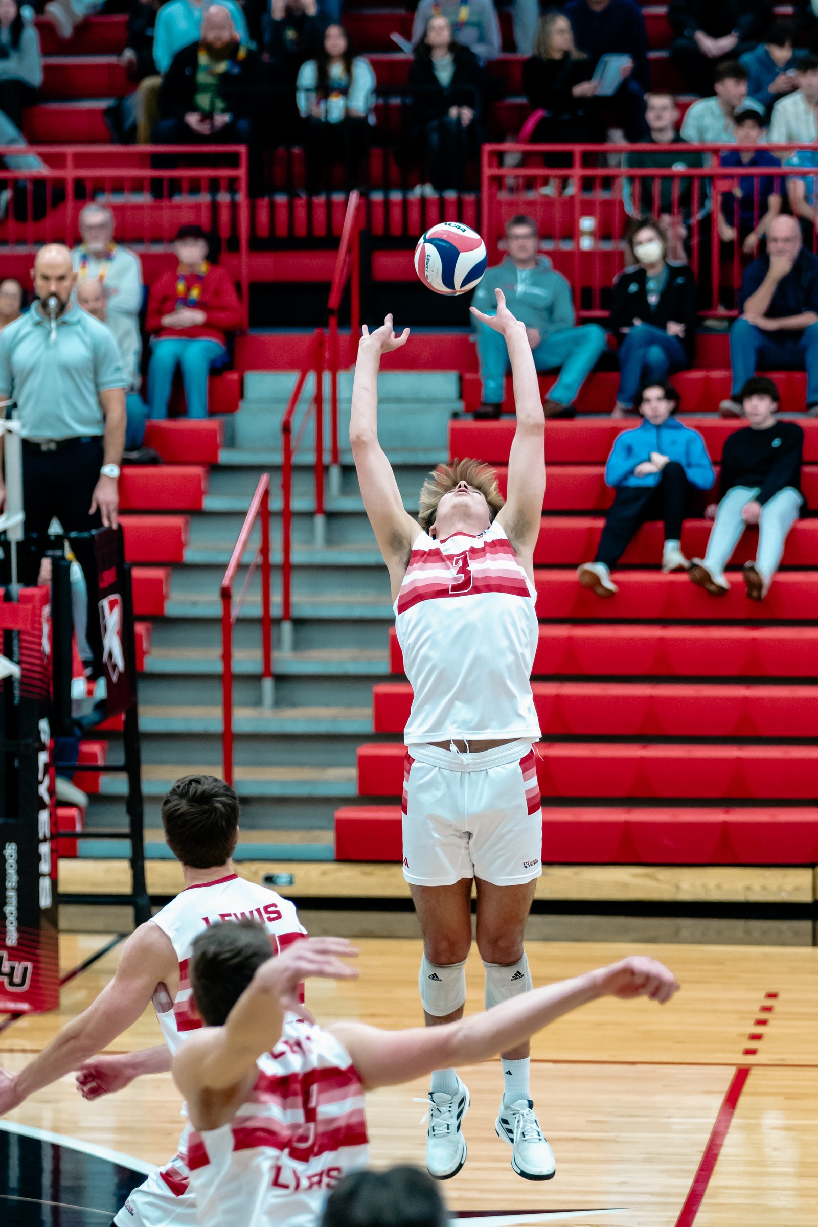2024 Men's VB - Lewis vs Lindenwood