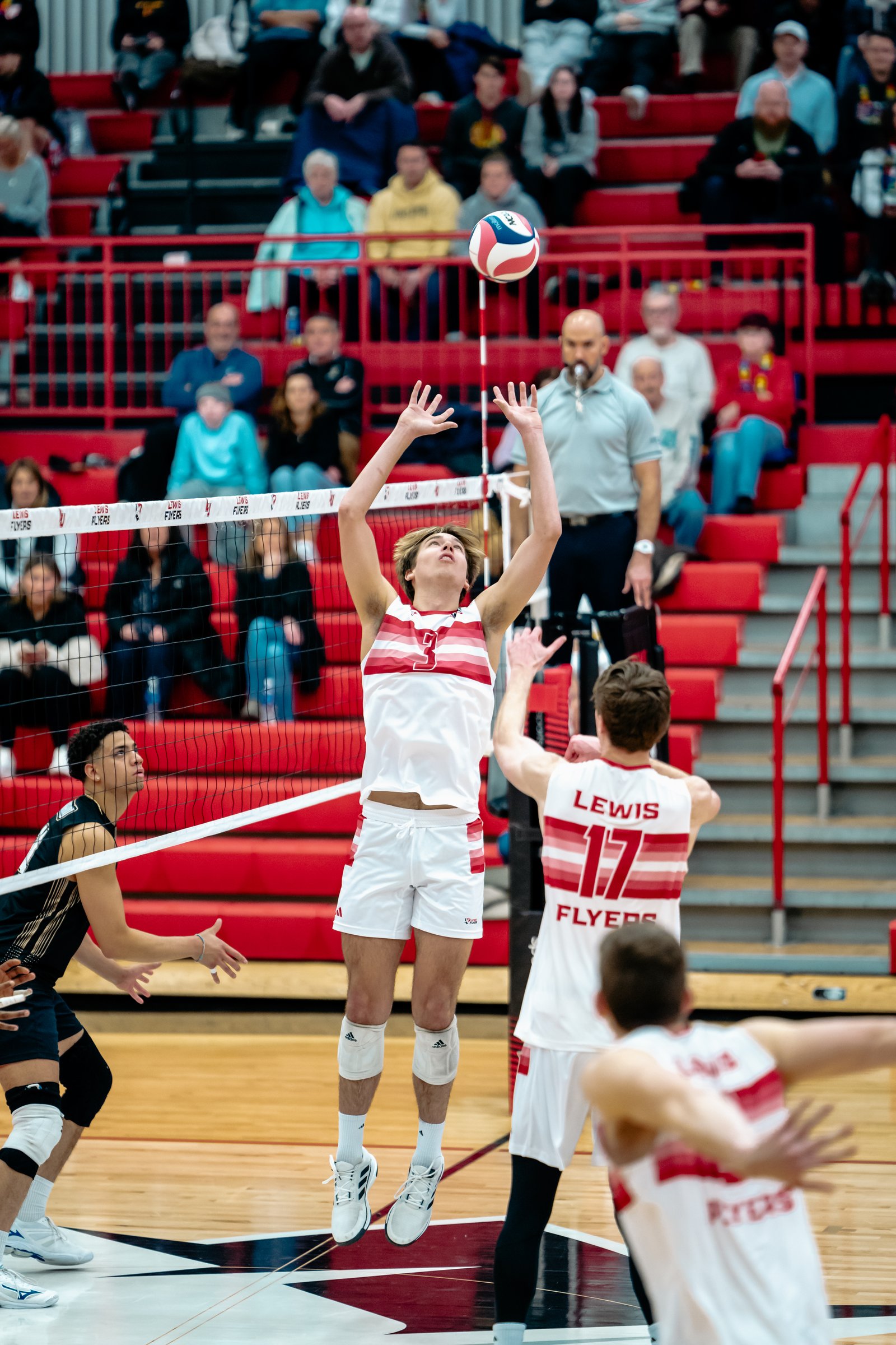 2024 Men's VB - Lewis vs Lindenwood