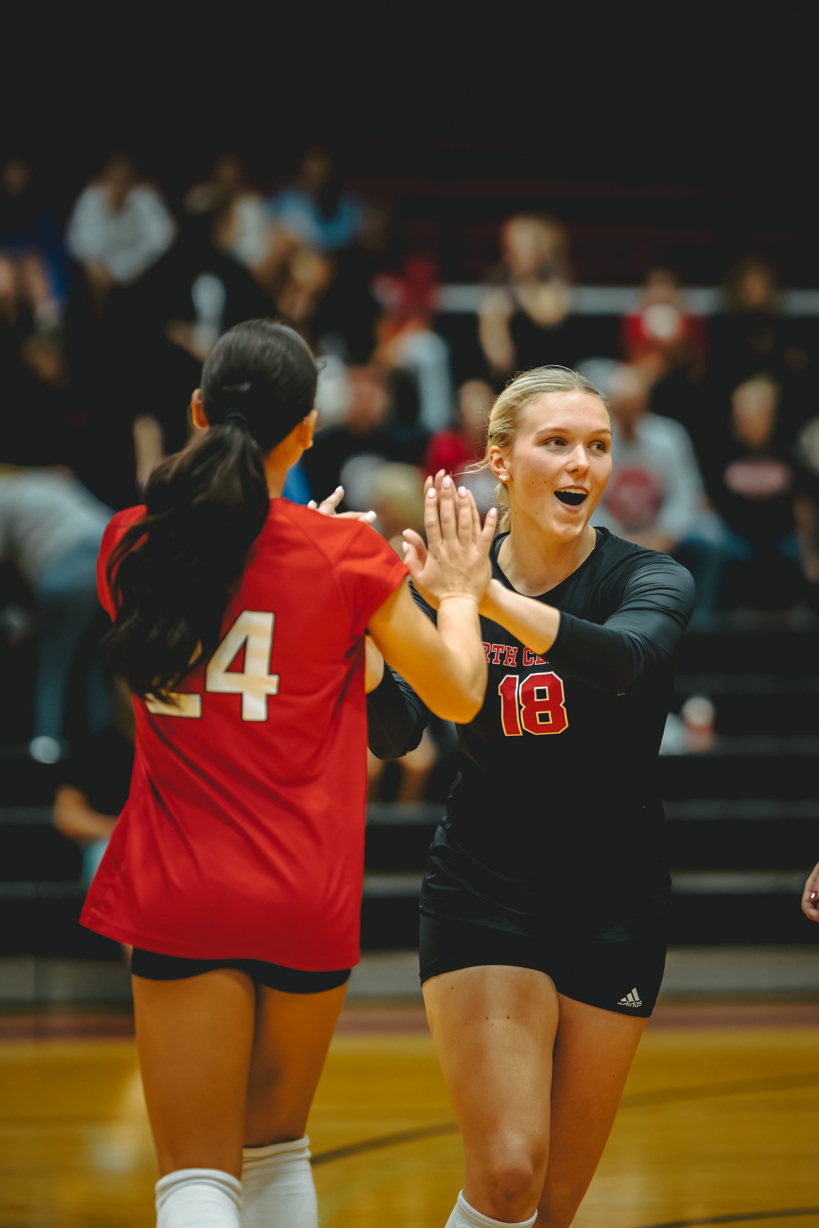 WVB - North Central vs Carthage