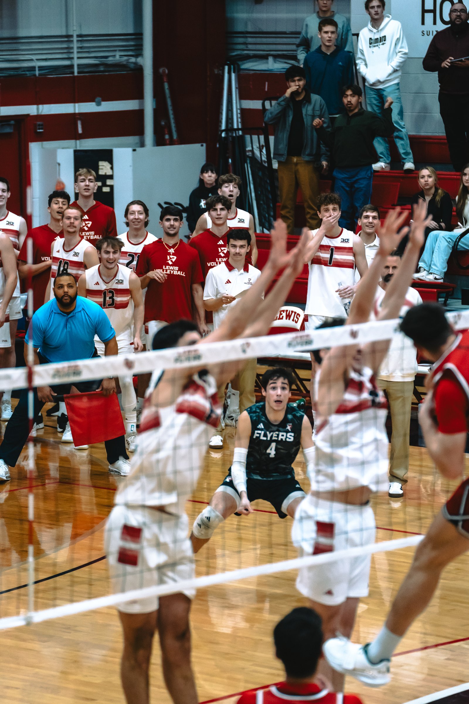 Lewis Flyers vs CSUN