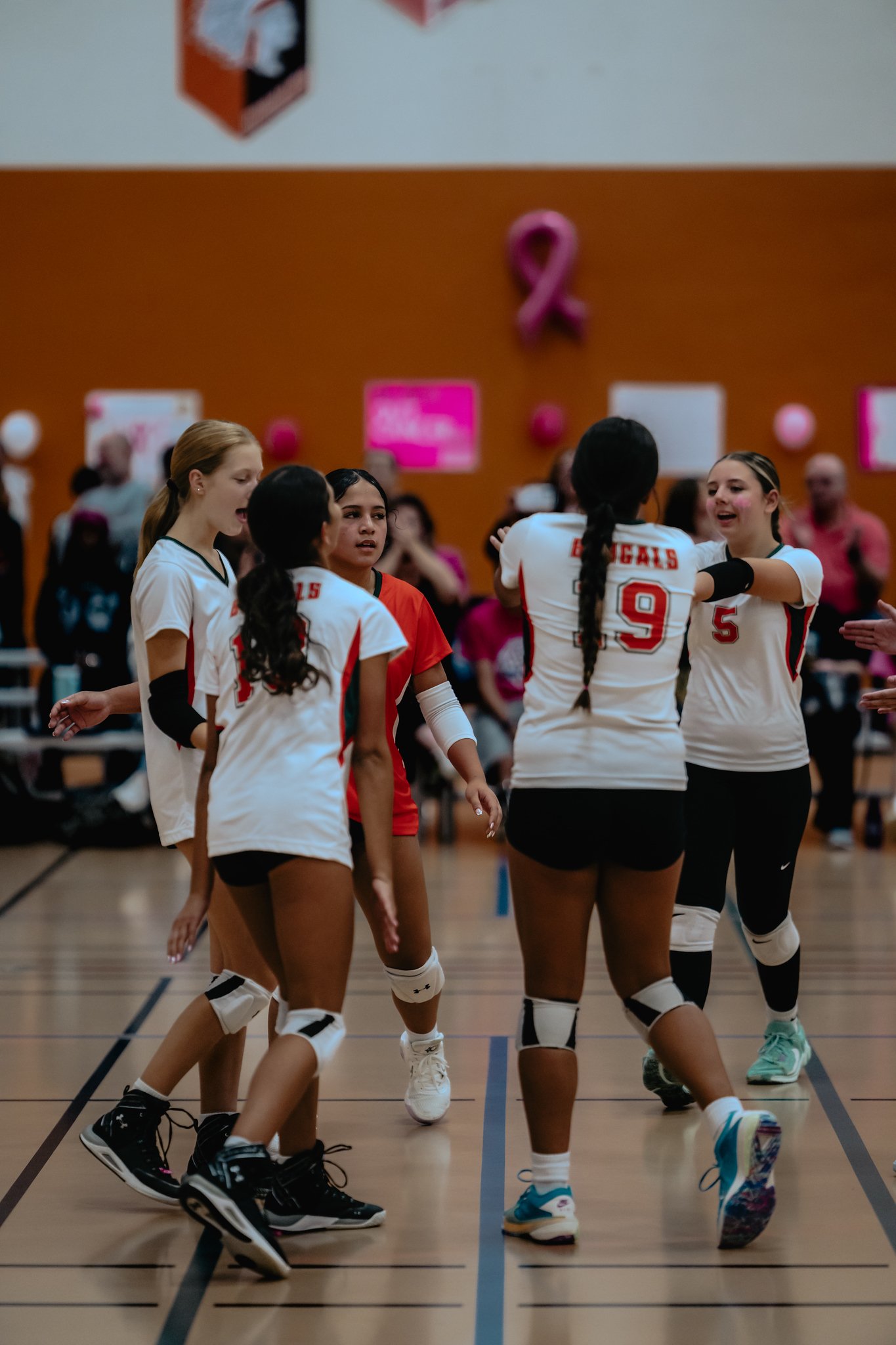 PEHS Girls VB - Dig Pink