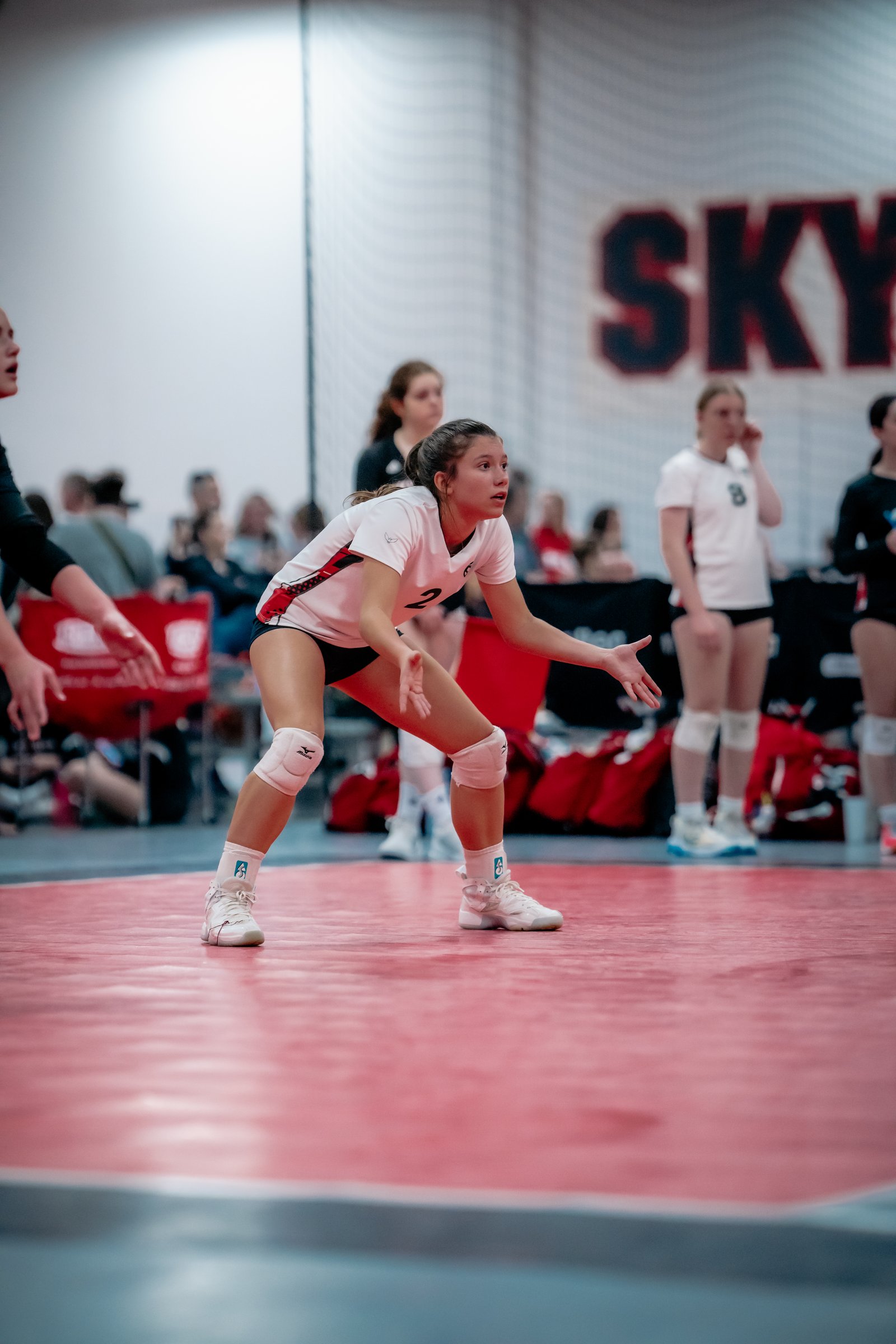 630 Girls at Sky High Cosmos