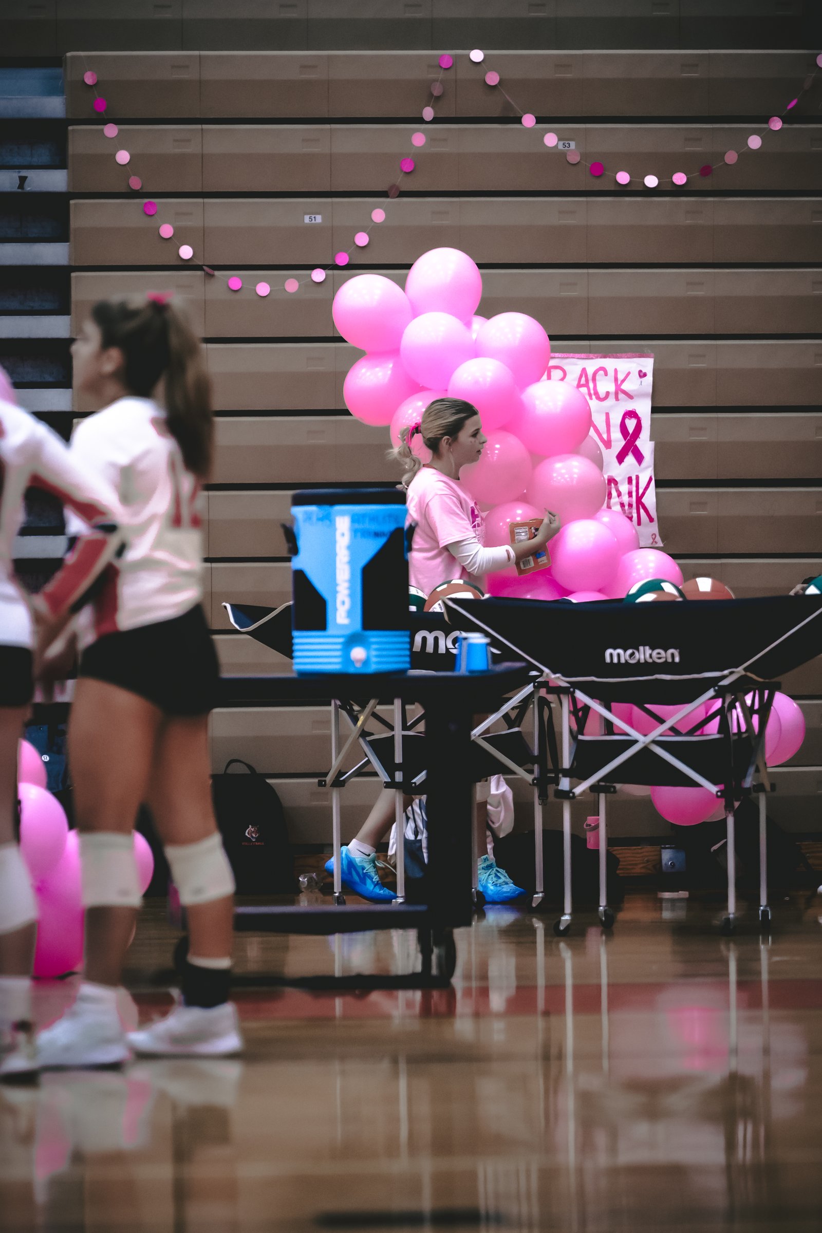 PEHS Girls VB - Dig Pink