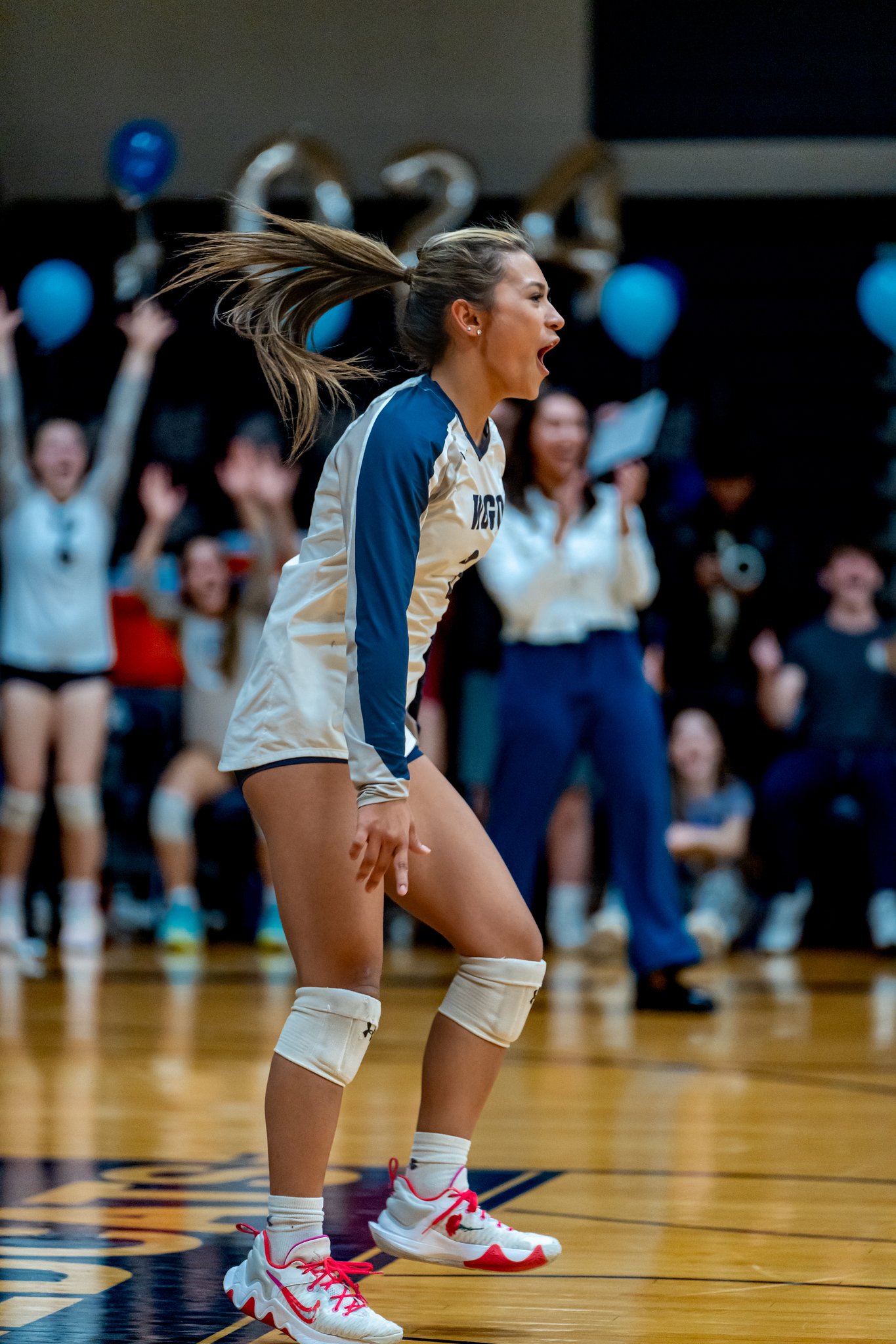 West Chicago Volleyball 17-Oct - Oct 18