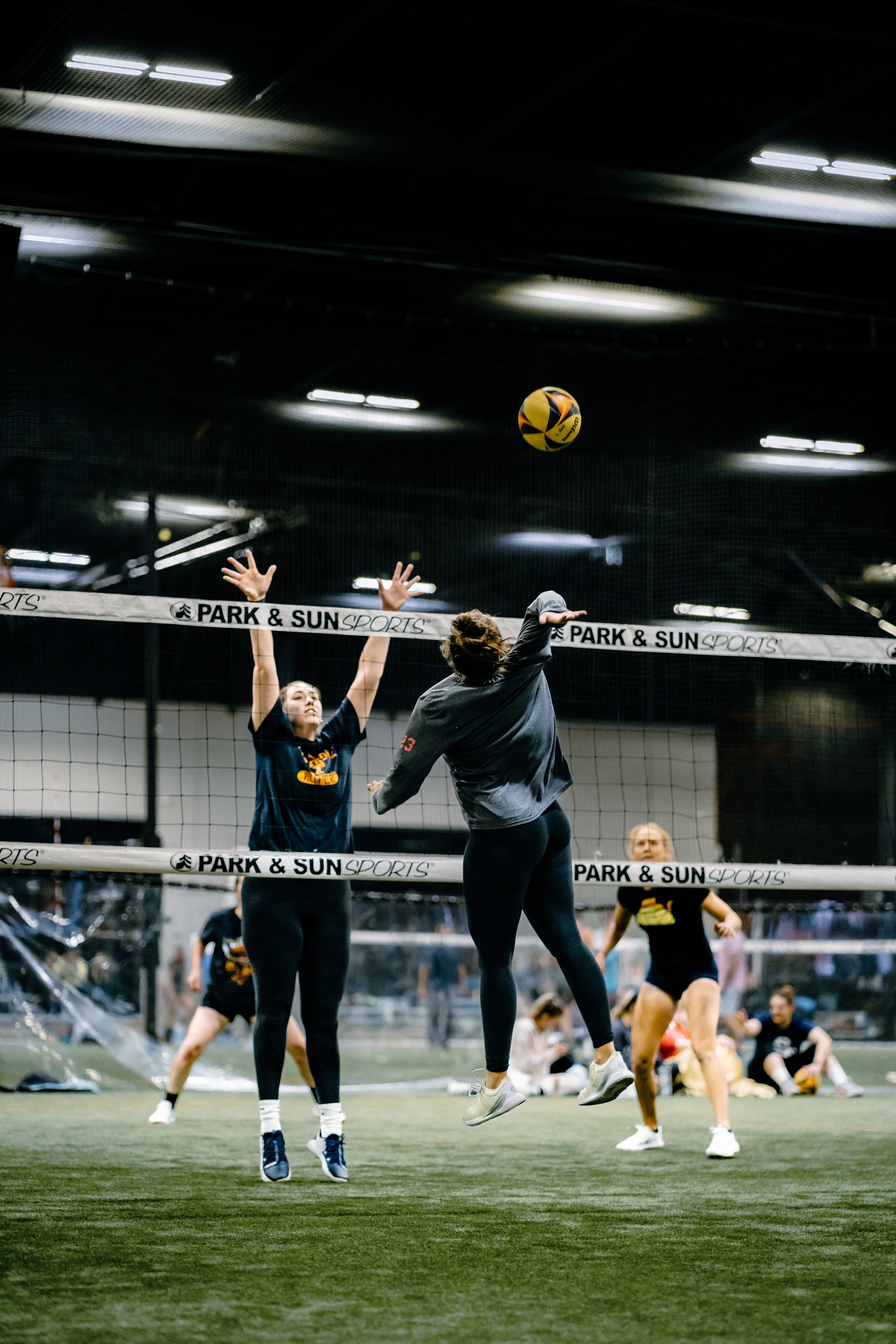 Players Sports Winter Turf Luau