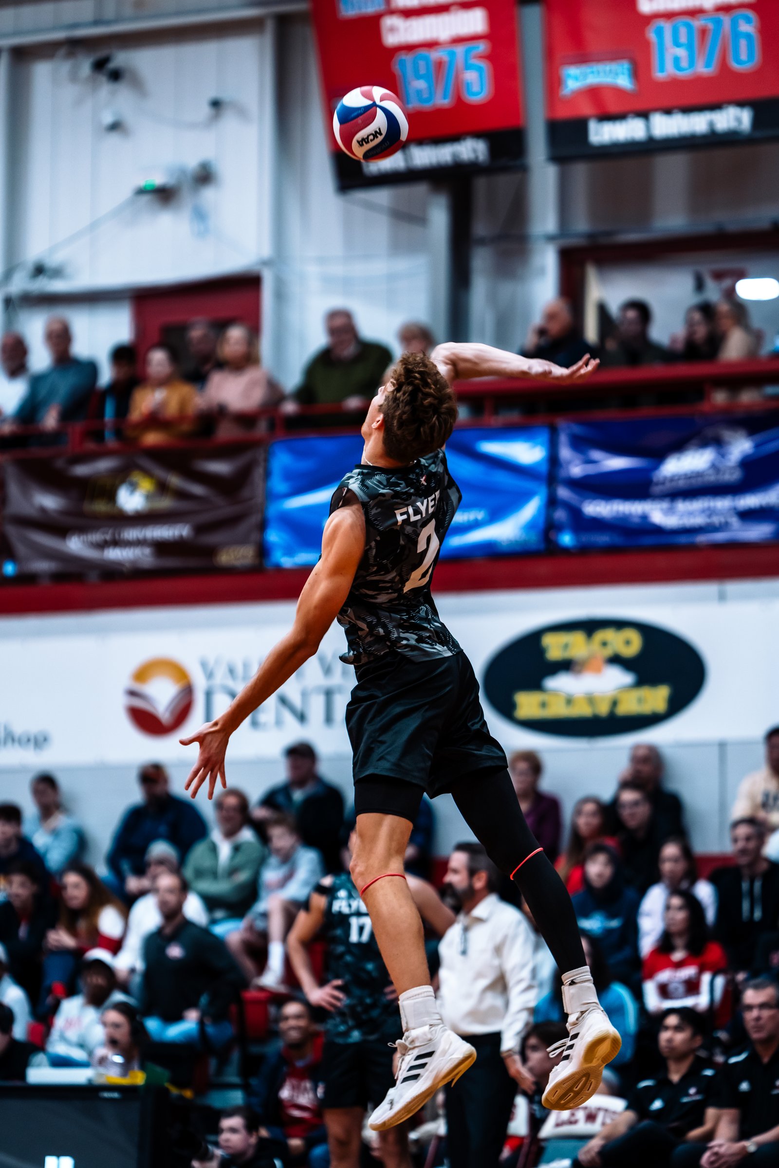 Lewis vs Ohio State - Mar 22