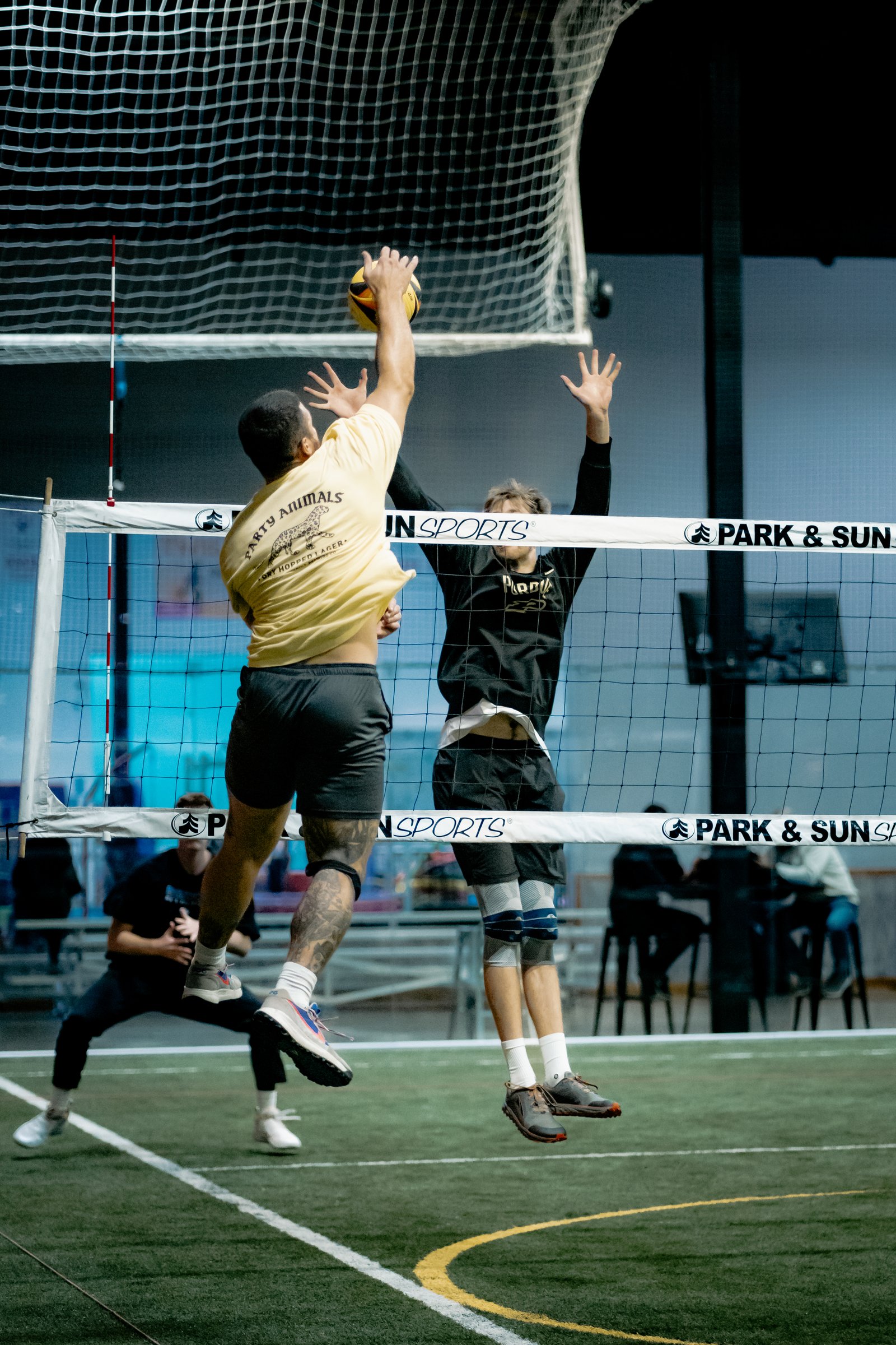 Players Sports Winter Grass Luau