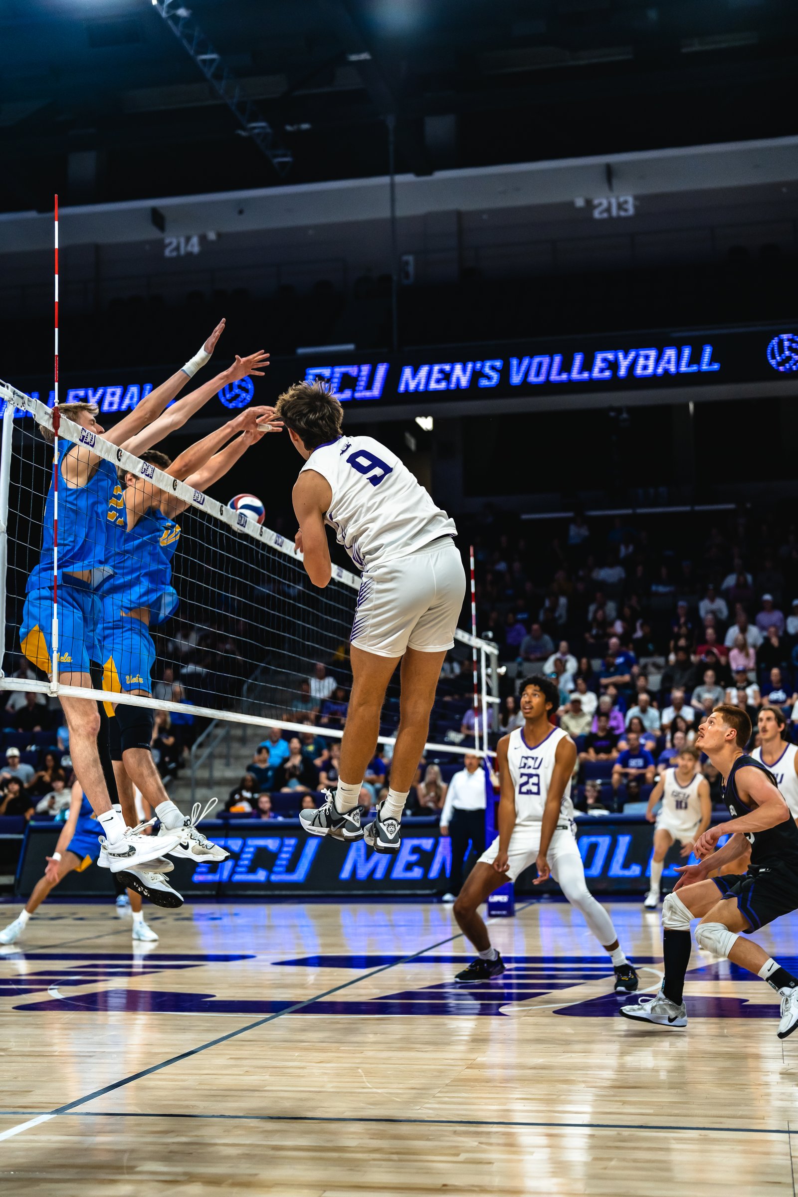 GCU vs UCLA