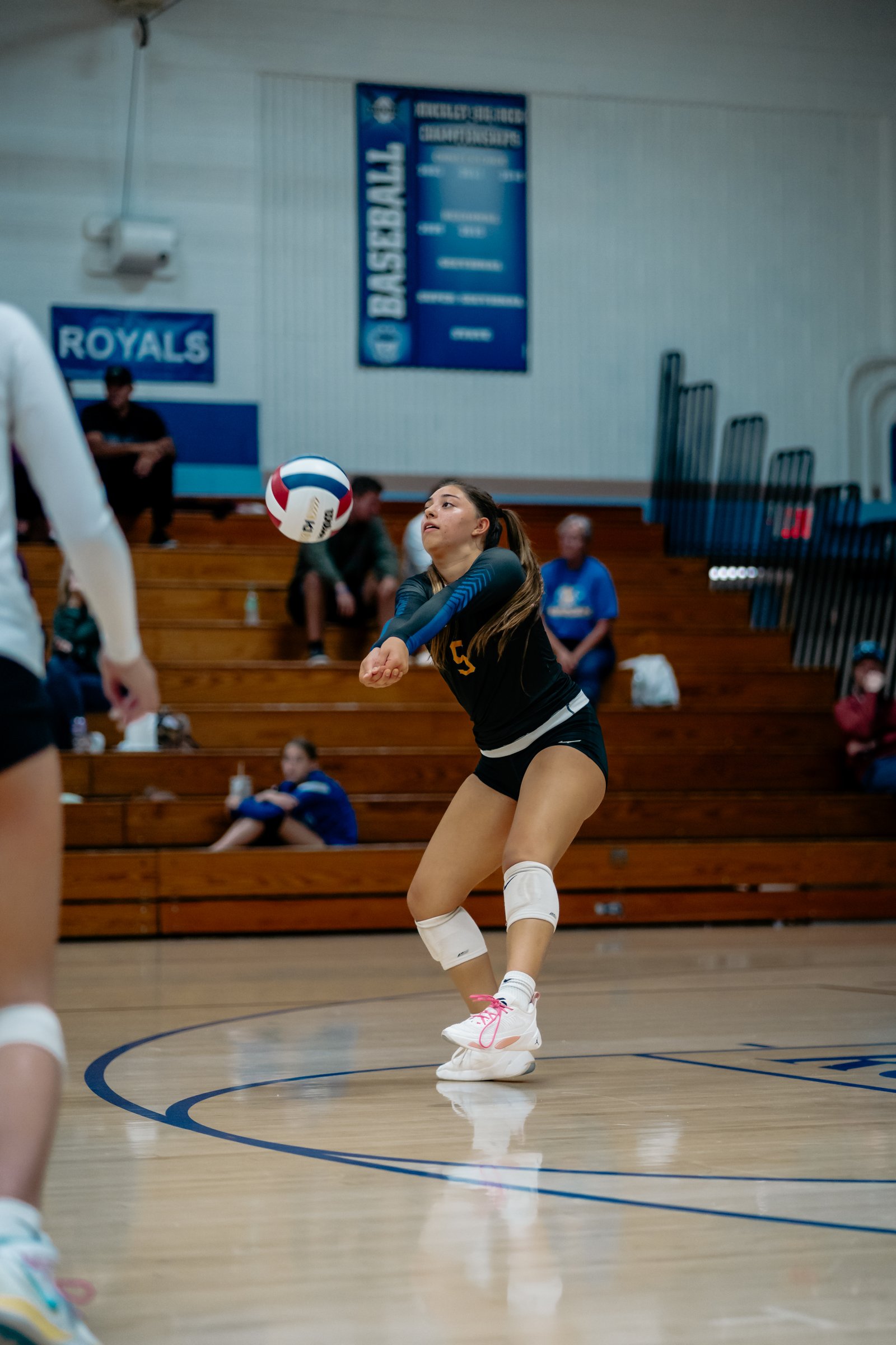 ACC Volleyball at Hinckley-Big Rock