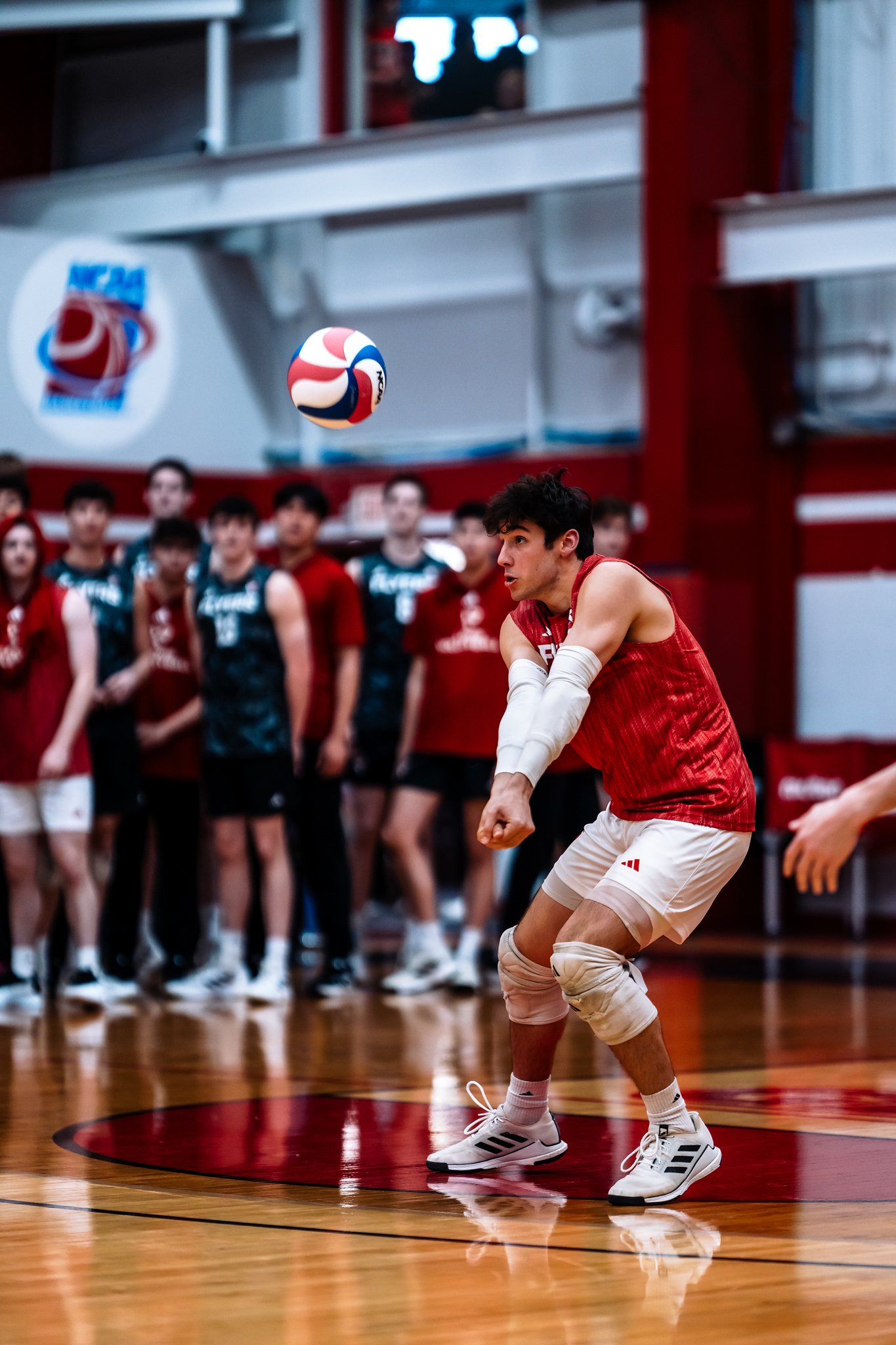 Lewis vs Ohio State - Mar 22