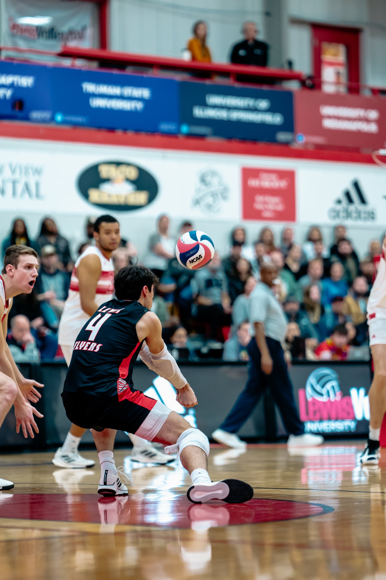 2024 Men's VB - Lewis vs Lindenwood