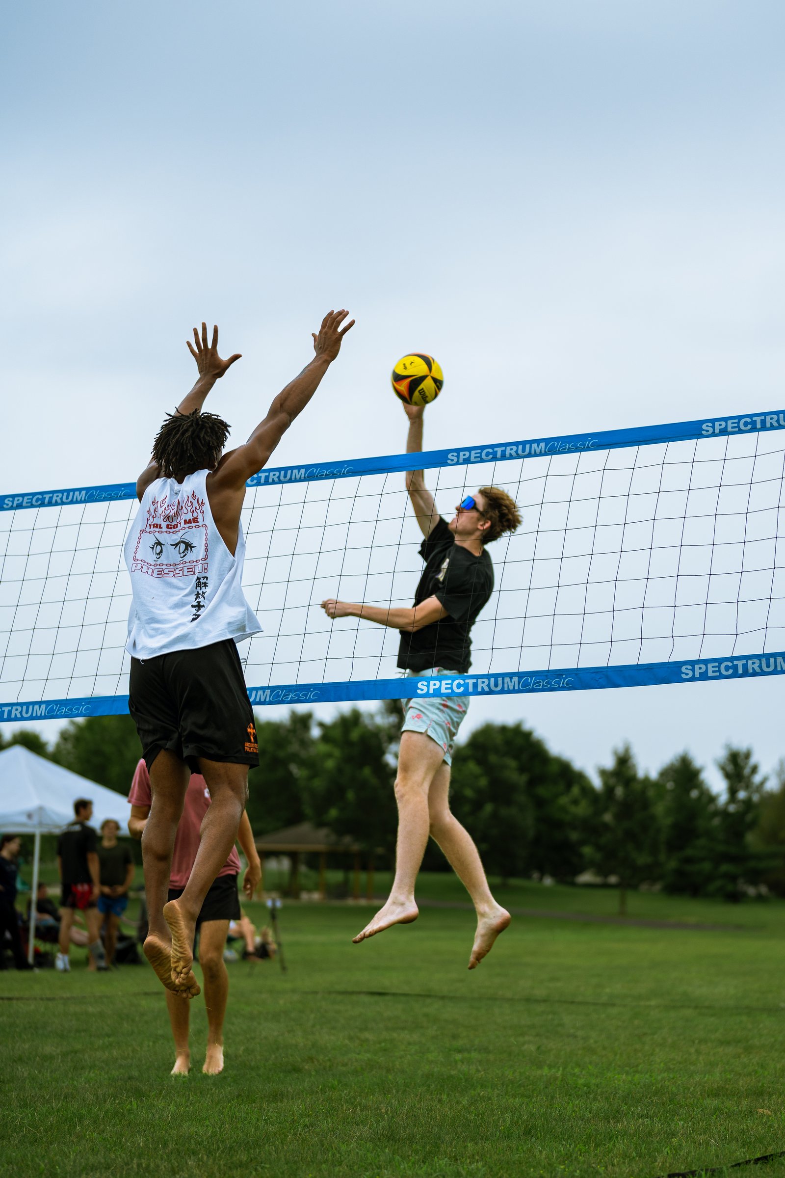 Bell Pepper Open – Official Gallery - Jan 1