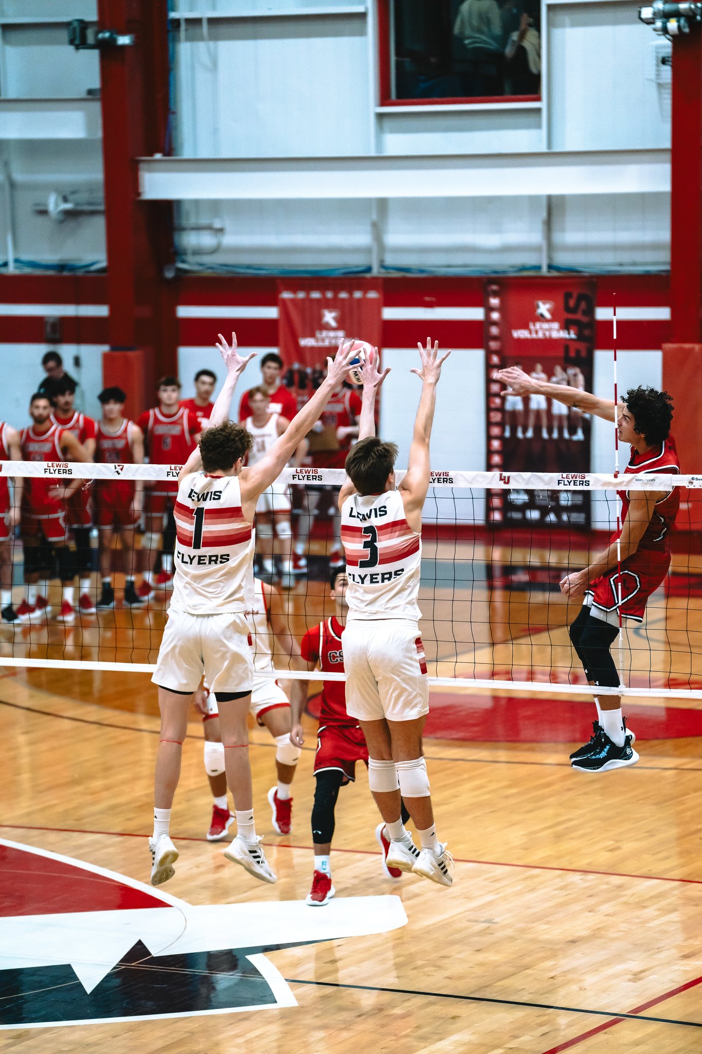 Lewis Flyers vs CSUN