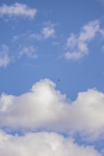 DSC06494