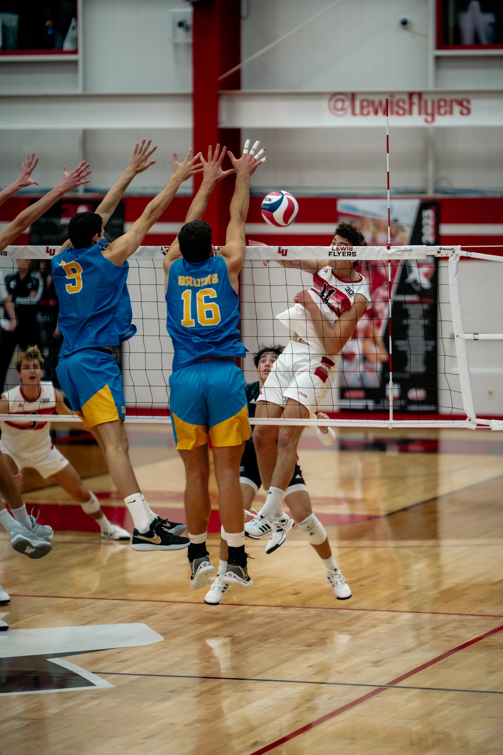 2024 Men's VB - Lewis vs UCLA 11-Jan
