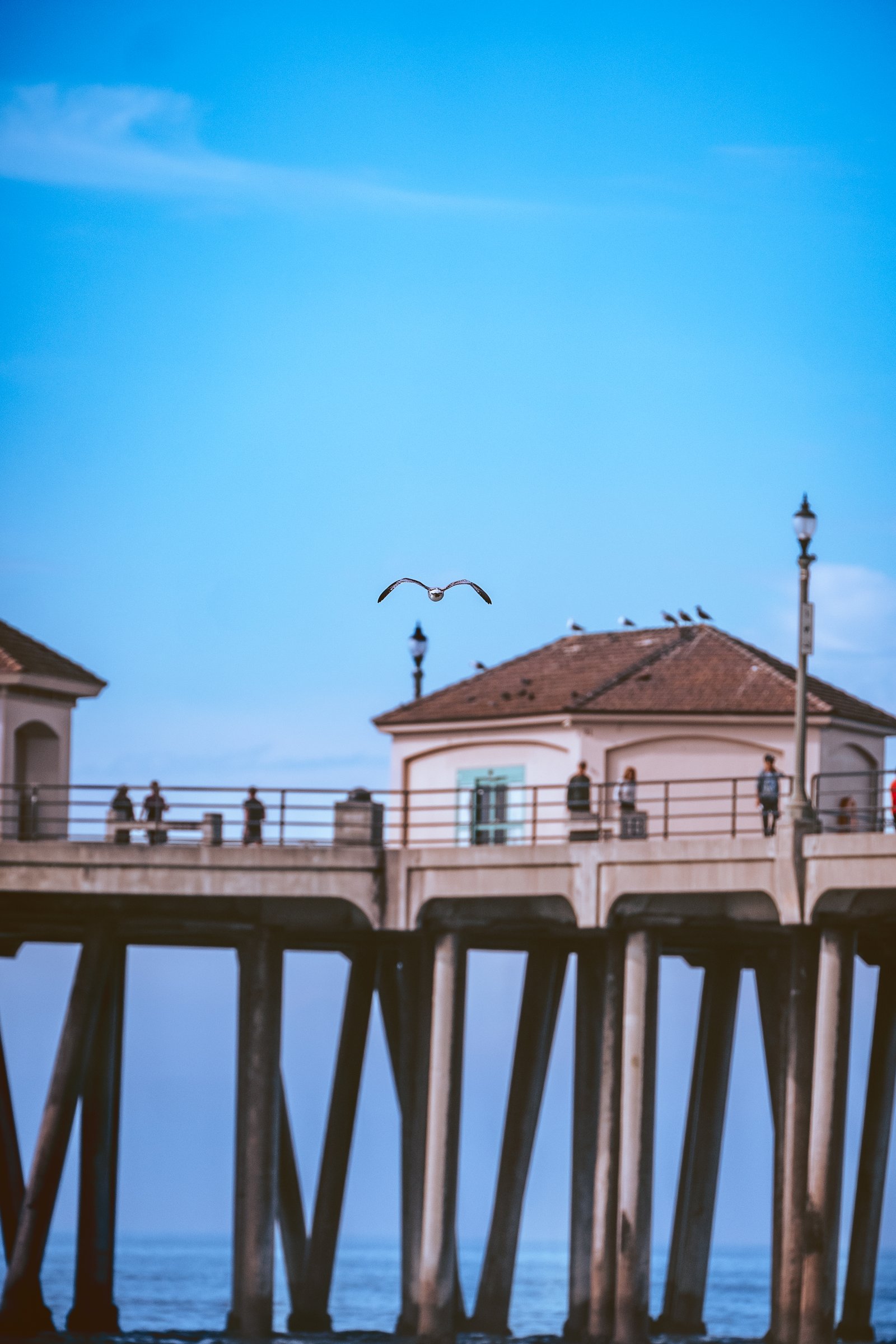 Huntington Beach Pier - Nov 2