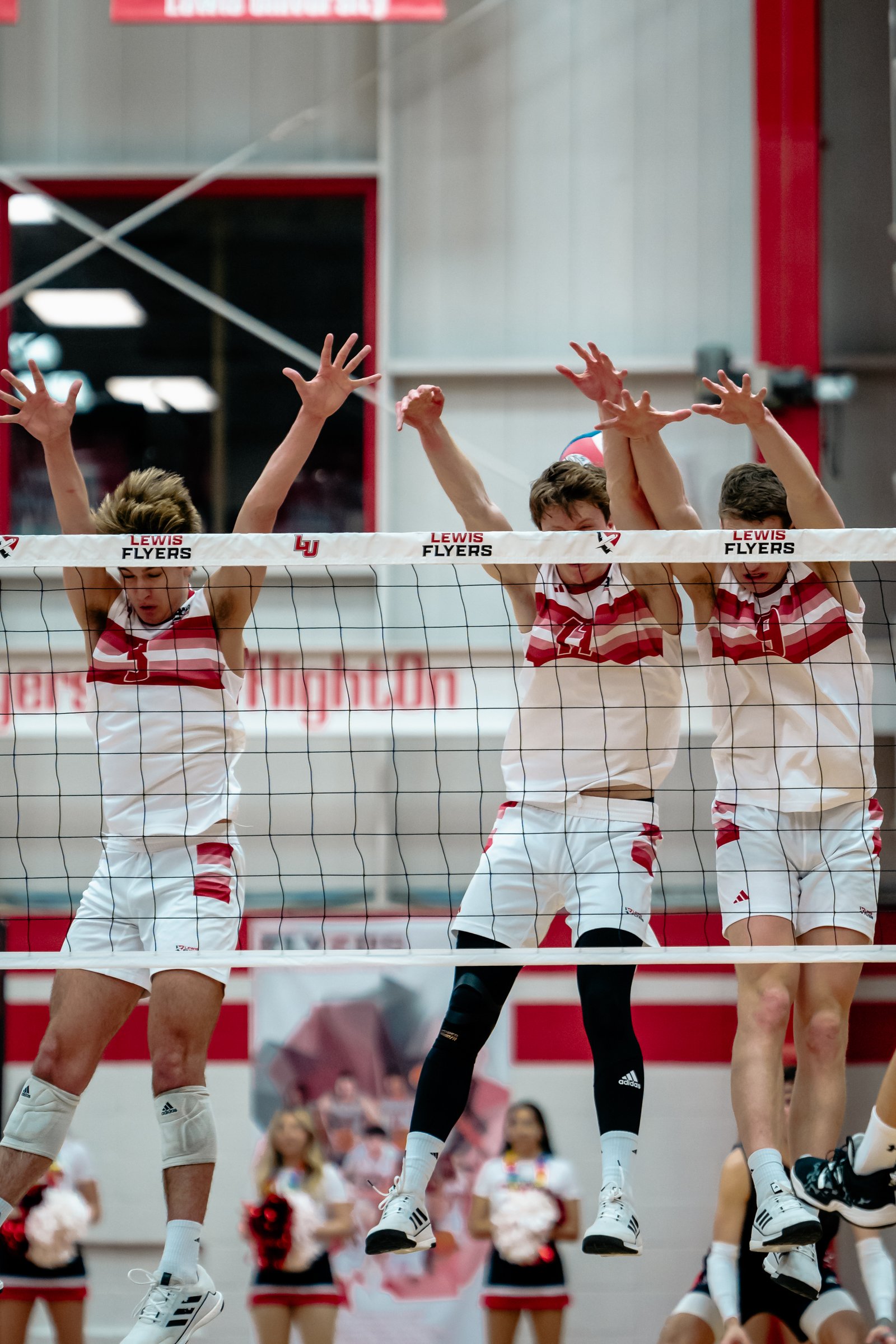 2024 Men's VB - Lewis vs Lindenwood