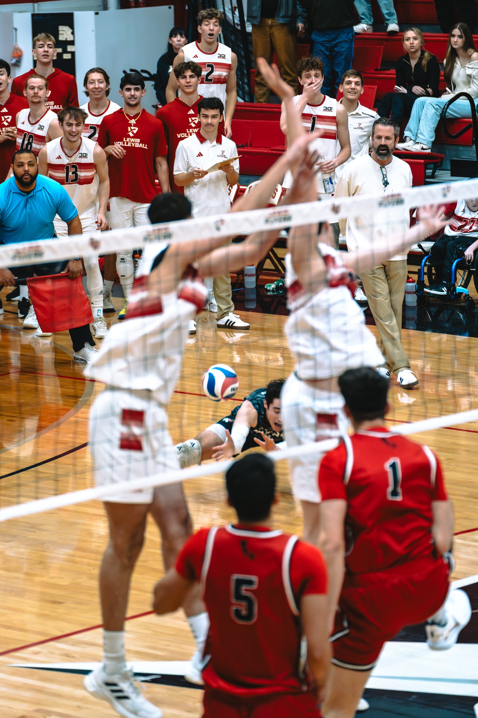 Lewis Flyers vs CSUN