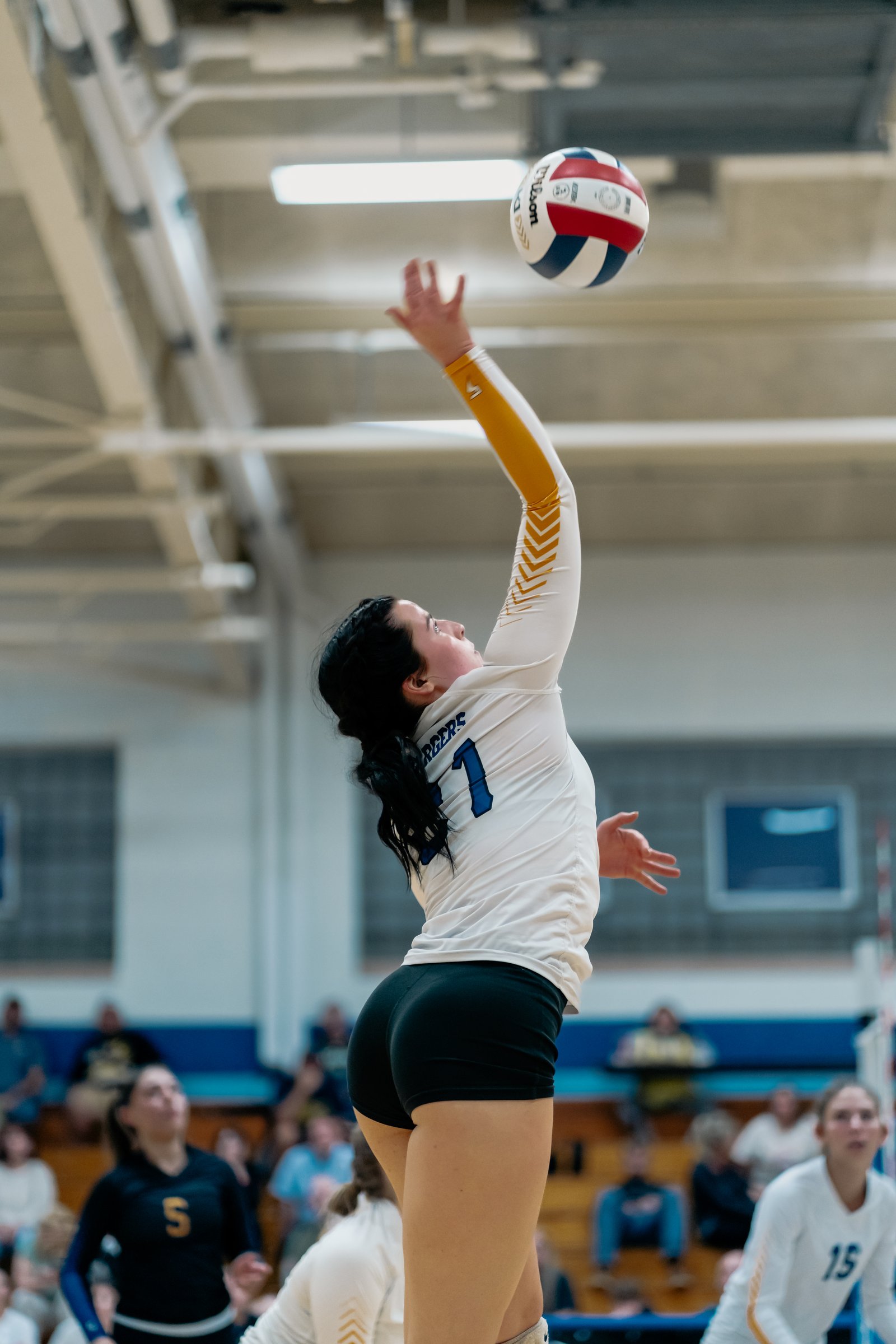 ACC Volleyball at Hinckley-Big Rock