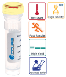Accuris High Fidelity DNA Polymerase, 200 units