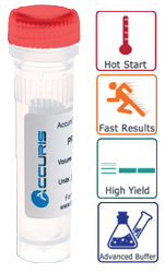 Accuris Hot Start Taq, 6000 units