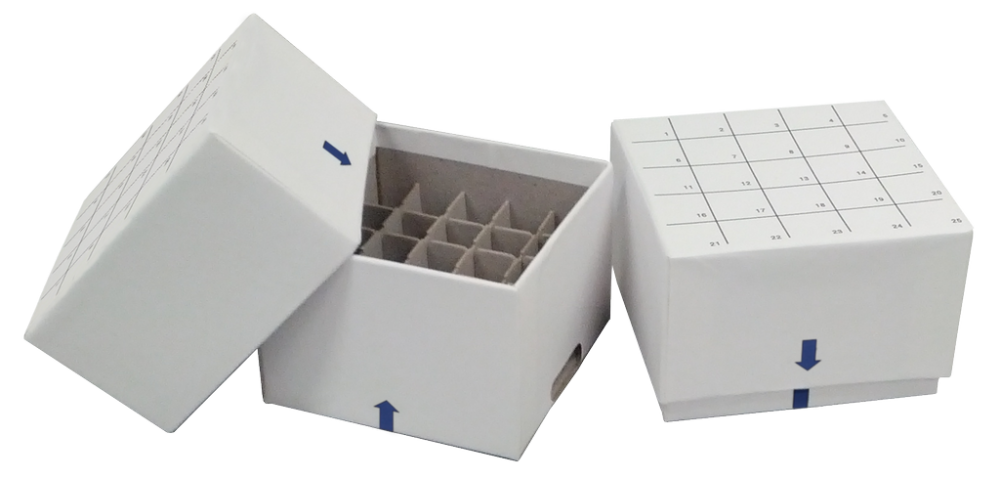 2″ Mini Fiberboard Boxes With Gridlines, Drain Holes, and 25 Cell Dividers (Qty of 12)