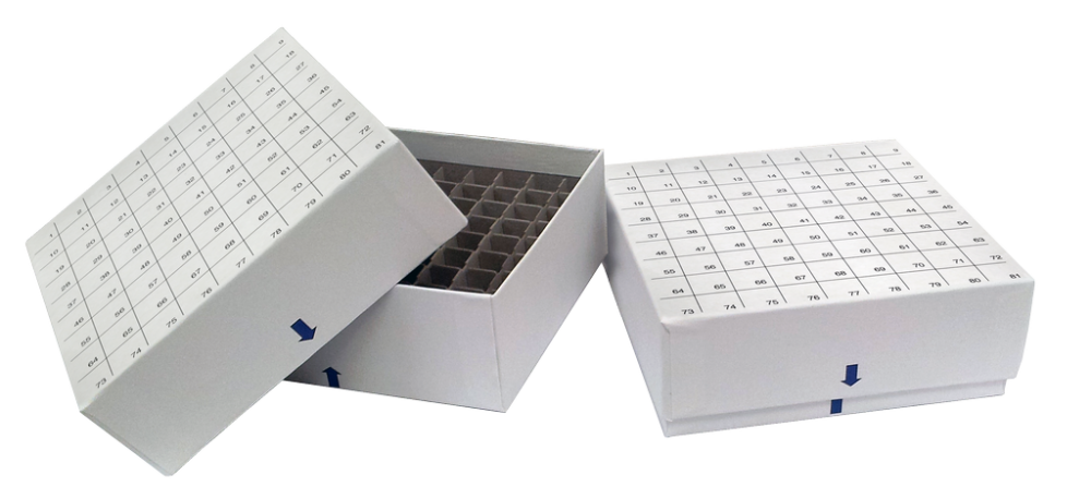 【BOOX】TabMiniC ８インチ 白ケース＋Pen2Proセット BOOX TabMiniC 8インチ カラー電子ペーパー Android11 GooglePlayが