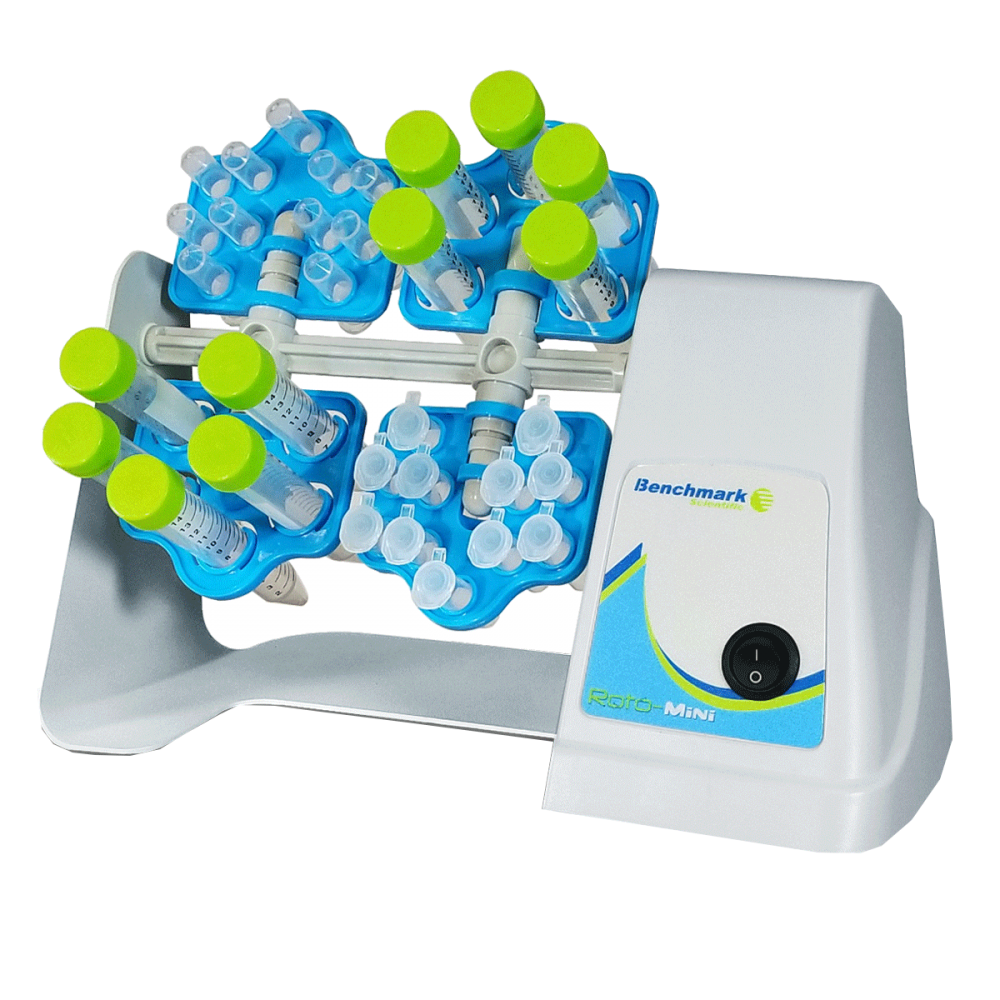 PLACEBO PRE-LOADEDI 7 レセボ・リローデッド 6.2 Premier Road Plus VI Work - RB5203 - Reebok Work