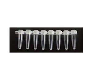 PCR Reaction Strips With Attached Flat Top 0.2 ml (Blue)