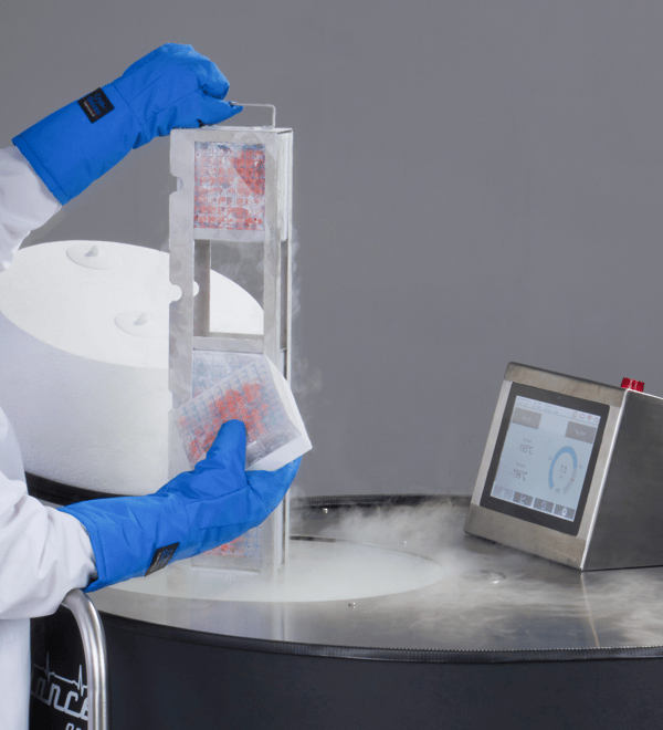 Azenta A700 Cryogenic LN2 Freezer (Capacity: 70,000 x 2.0 ml vials