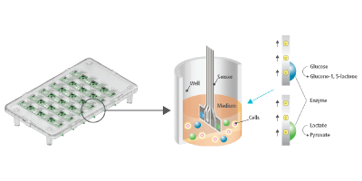PHCbi LiCellMo Live Cell Metabolic Analyzer - Image 18