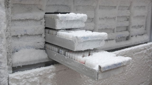 a laboratory freezer with freezer racks insid showing frost build up