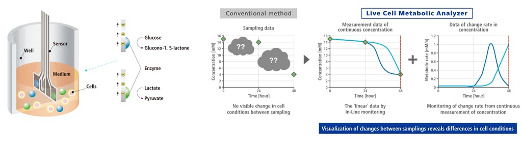 graphic showing conventional live cell metabolic analysis compared to how the LiCellMo product performs