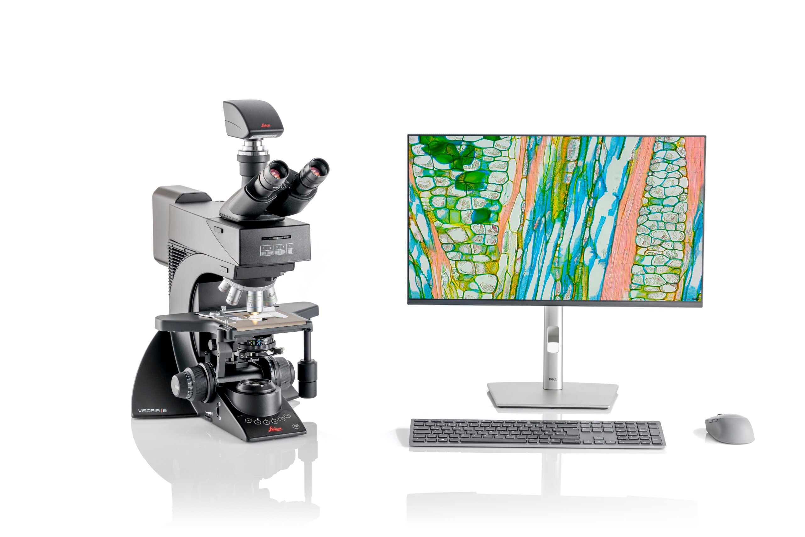 Leica Visoria B Digital Microscope for Life Science & Clinical Laboratories - Image 6