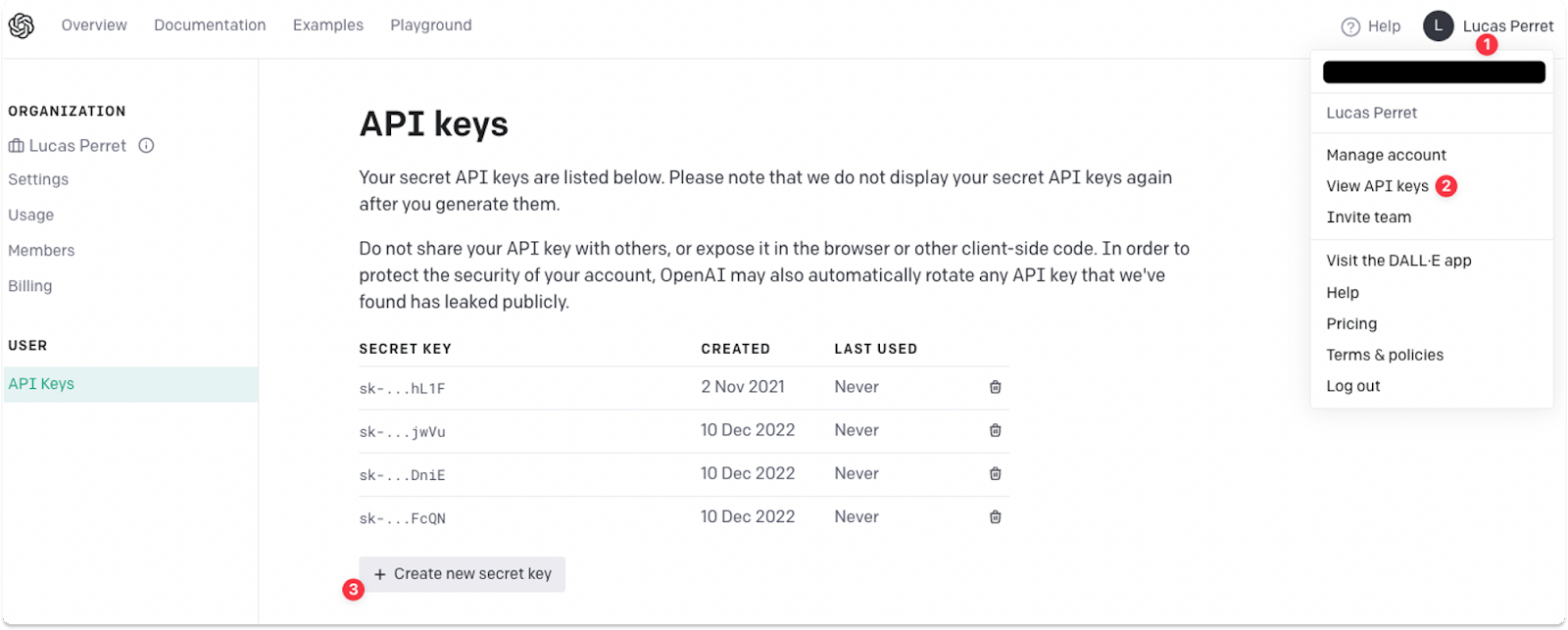 Create a secret API key with OpenAI