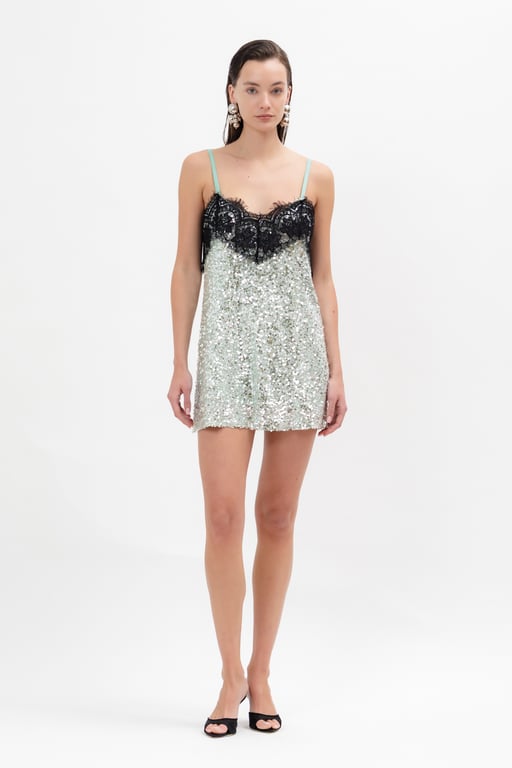 Meghan mini dress 