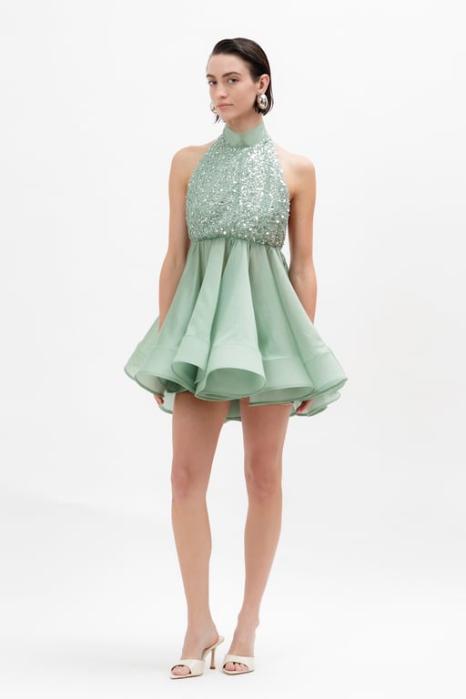 Alexa mini dress 