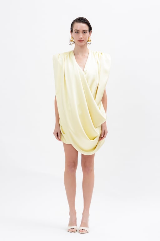 Stella mini dress 