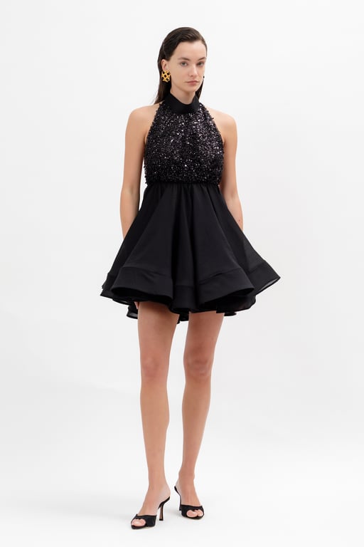 Alexa mini dress 