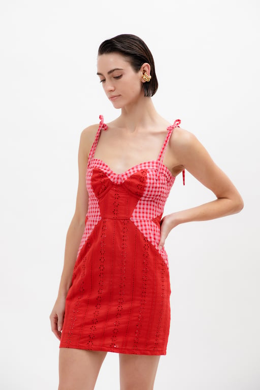 Adrianna mini dress 
