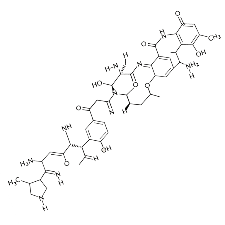 MOTS-c molecular structure